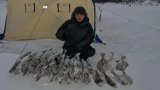 ЗИМНЯЯ МОРСКАЯ РЫБАЛКА ЭТО КРУТО / WINTER SEA FISHING IS COOL