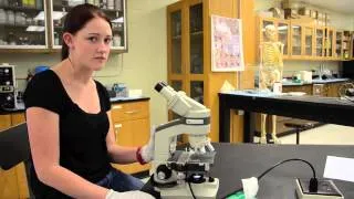 How To Use a Compound Microscope - Instructional video