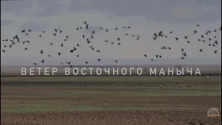 "ВЕТЕР ВОСТОЧНОГО МАНЫЧА"