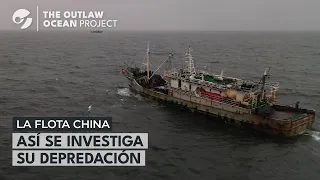 OCÉANOS SIN LEY | LA FLOTA CHINA Y CÓMO SE INVESTIGA SU DEPREDACIÓN