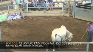 ROCKHAMPTON BRAHMAN WEEK 2014 - DAY TWO   LOT 363