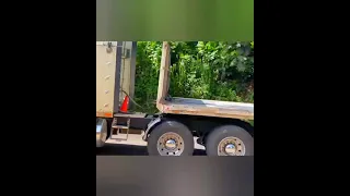 International W9900i Truck || Truck Spotting Jamaica 🇯🇲  part 1 #shorts