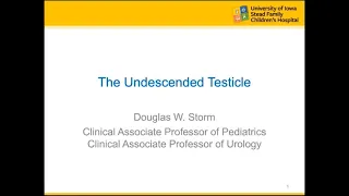 5.27.2020 PedsUroFLO Lecture - The Undescended Testicle