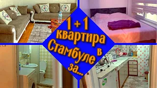 Аренда жилья в Стамбуле. Обзор квартиры 1+1 в Стамбуле.