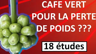 Café vert pour perdre du poids – analyse des bienfaits, dosage et dangers [18 études]