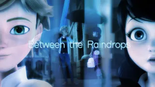 Between The Raindrops || Miraculous Ladybug [MV]