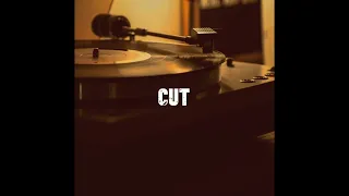 DJ Premier Type Beat x Boom Bap Instrumental "Cut"