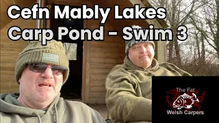 Cefn Mably - Carp Pond - Swim 3