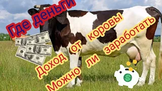 доход от коровы...я разбогател????стоит ли держать коров,выгодно?