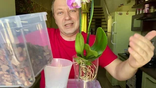 ПРАКТИЧНАЯ ПЕРЕСАДКА ОРХИДЕИ с возможностью разного полива орхидей