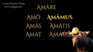 Amo La Bamba (a Latin Present Tense song)