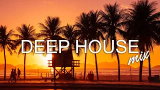 Avicii, Calvin Harris, Kygo, Alok, Robin Schulz, David Guetta, Gryffin - Summer Vibes Mix #297