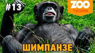 Zoo Tycoon Ultimate Animal Collection #13 Шимпанзе