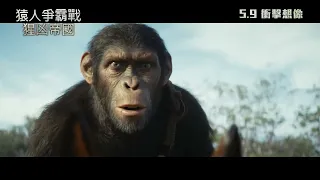 《猿人爭霸戰：猩凶帝國》🦍5.9 衝擊想像❗ (中文字幕)