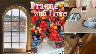 Prague vlog🇨🇿 | 세계테마기행 같은 브이로그 | 프라하 맛집 추천(lokal, cafe savoy, 나세마소) | 프라하성, 굴뚝빵, 까를교 뷰 레스토랑