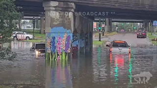 04-10-2024 New Orleans, LA - Significant Flash Flooding - Cars Submerged - Dead Animals Floating