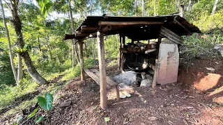 AKTIFITAS SORE WARGA KAMPUNG DI PEGUNUNGAN, MENYADAP POHON AREN DI TENGAH HUTAN