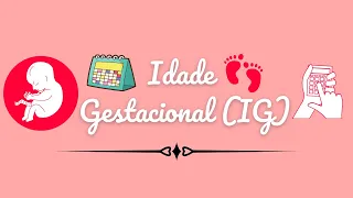 IDADE GESTACIONAL - IG - Como calcular ?