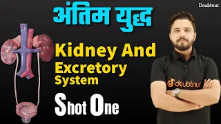 Kidney and excretory system | Shot One | 11th/NEET/ Biology | By Yogesh Sir Doubtnut