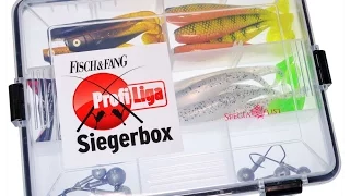 Die Siegerbox der Profi-Liga