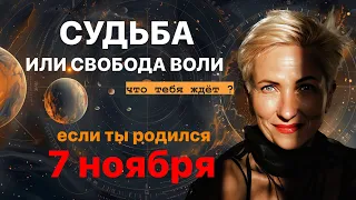 матрица судьбы. о чем говорит дата рождения 7 ноября. цель и ресурсы для ее достижения.