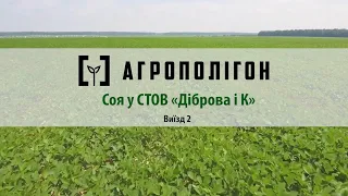 АгроПолігон АХТ: Соя в Діброва і К. Виїзд №2