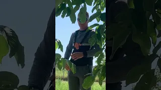 Парень солидно двигается😂😂 #рекомендации #будагов #смех