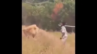 Lil Baby fighting off a lion