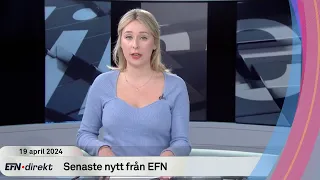 EFN direkt: Ekonomiska risker med ett auktoritärt styre