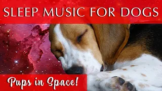 Sleep Music for Dogs Black Screen | Space Journey