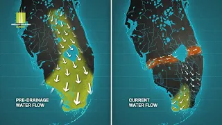 What Caused The Problems in the Everglades?