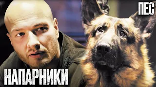 🐕‍🦺 ЛУЧШИЙ ДРУГ ЧЕЛОВЕКА - Детектив 2022 - Сериал ПЕС 2022 - Лучшие серии