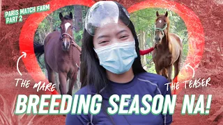 "TEASING" NG MARES, PAANO GINAGAWA? - PARIS MATCH FARM pt2 | #LuckyLeaVlog No.31