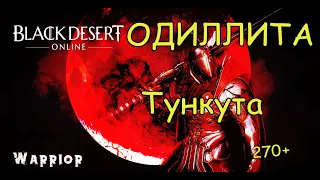 Black Desert Online Одиллита Новые споты Тункута