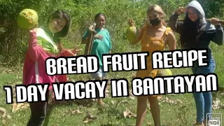 Bread fruit recipe- 1 day Vacay in Bantayan Island