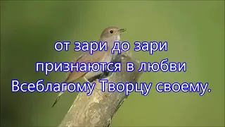 Весной со соловьями