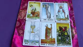 Strength, The Hermit, King of Swords, Ace of Cups, Page of Wands & King of Pentacles Tarot Cards
