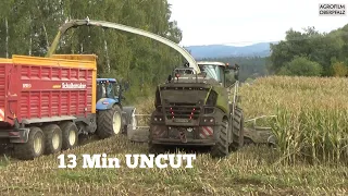 980 on Fire #8 - 13 Min ungeschnitten - Claas Jaguar 980 beim Maishäckseln - LU Spitzner