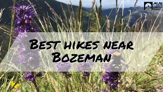 Best hikes near Bozeman