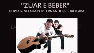 Zuar e beber (VERSÃO OFICIAL) - Henrique & Diego