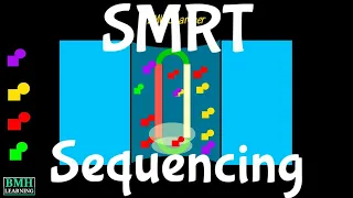 SMRT Sequencing | Single Molecule Real Time Sequencing | PacBio Sequencing |