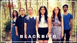 Quinta.5 - Blackbird (The Beatles Cover)