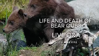 Life and Death of Bear Cubs Live Q&A  | Brooks Live Chat
