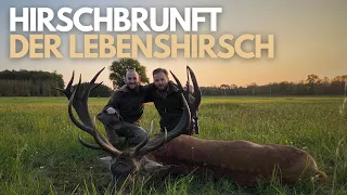 Hirschbrunft in Polen I Goldmedaillen Lebenshirsch I Hunt on Demand Free Episode