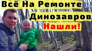 Заповедник Сатаплия в Грузии на Машине из Батуми с Детьми и Не Только