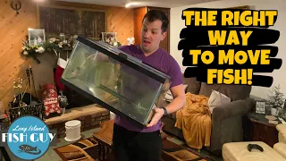 How to Move A FISH TANK! Moving my AQUARIUMS to my NEW APARTMENT!