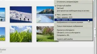 Управление настройками веб-альбомов Google Picasa (17/20)