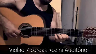 Violão 7 cordas Rozini Auditório