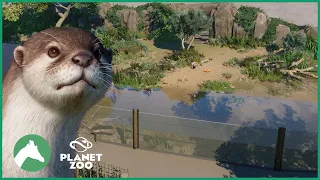 Asian Small-Clawed Otter Habitat | Elm Hill City Zoo | Planet Zoo