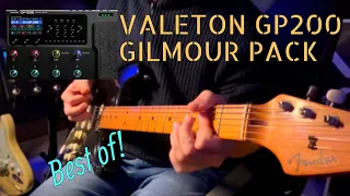 David Gilmour LEGENDARY tones for Valeton GP200 - Presets Pack!